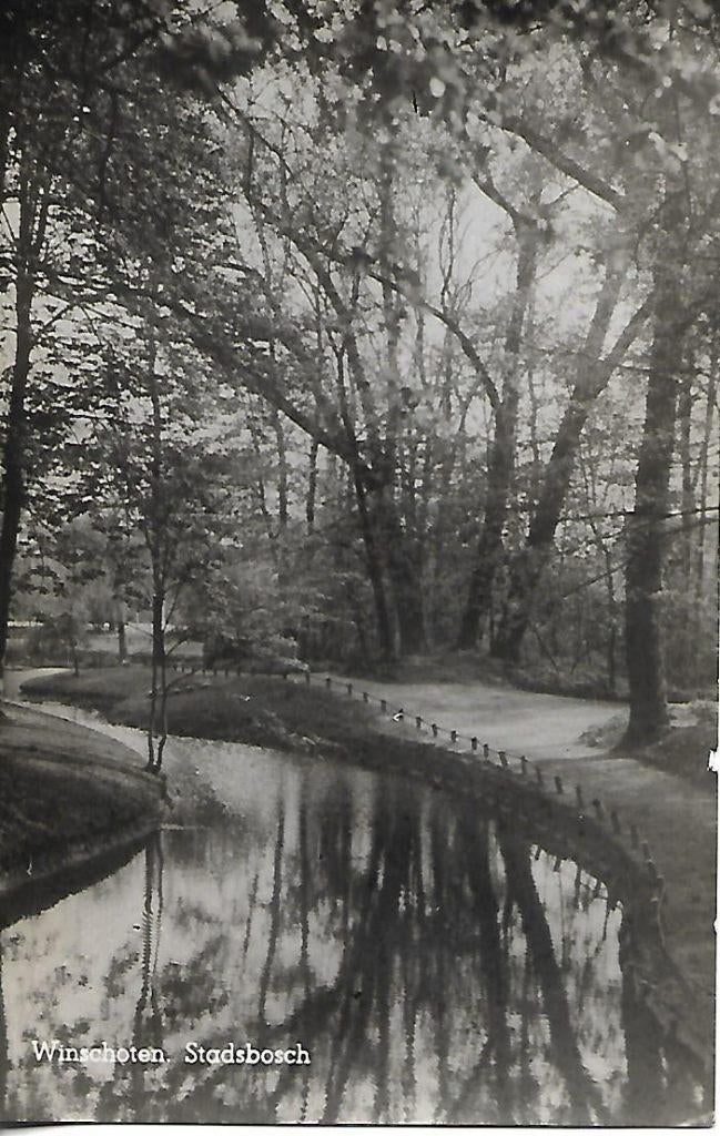 Winschoten- -Stadsbosch., Verzenden, 1940 tot 1960, Gelopen, Groningen