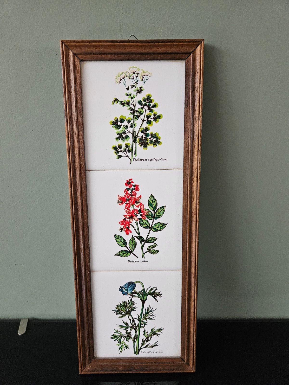 Vintage wanddecoratie met botanische tegels, Gebruikt, Decoratieobject, Ophalen of Verzenden, Bruin