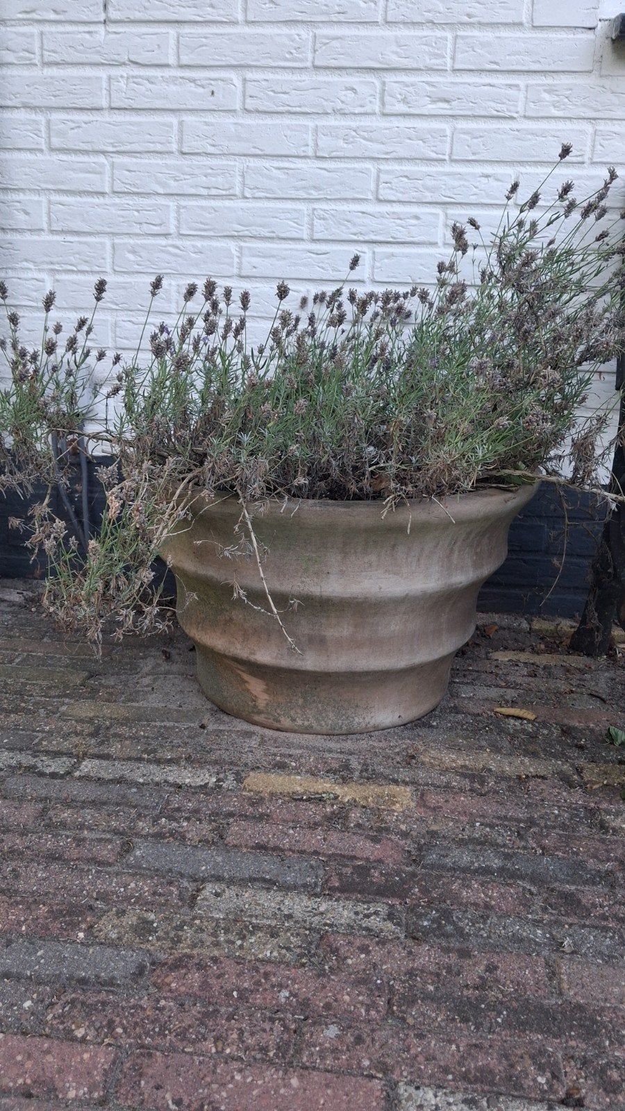 Grote terracotta bloempot, Ophalen, Gebruikt, 40 cm of meer, Rond