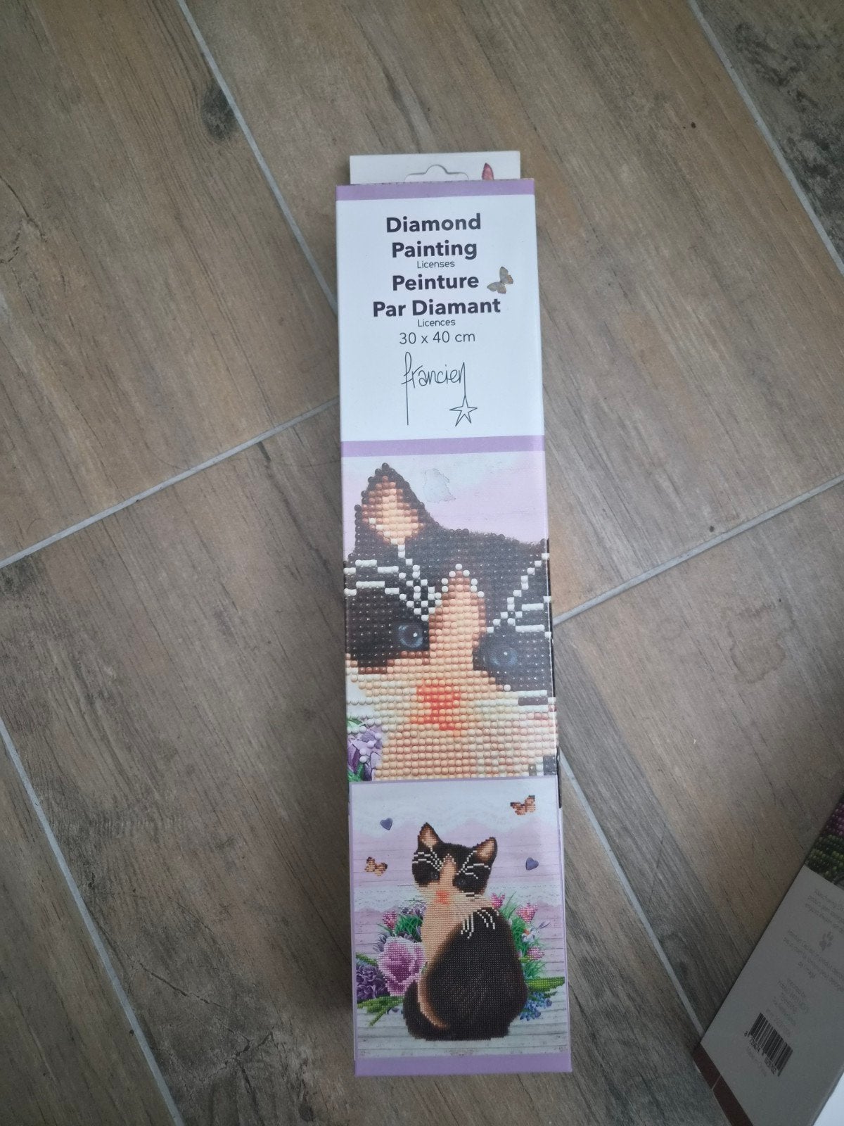 Francien katten diamond painting 30  40 cm, Nieuw, Meerkleurig, Ophalen of Verzenden, Diamond painting