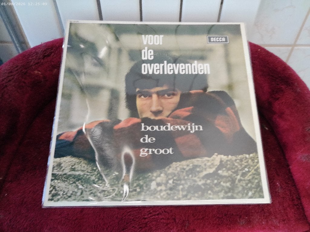 LP Boudewijn de Groot - Voor de overlevenden, LP, Gebruikt, Fotohoes, Ophalen of Verzenden