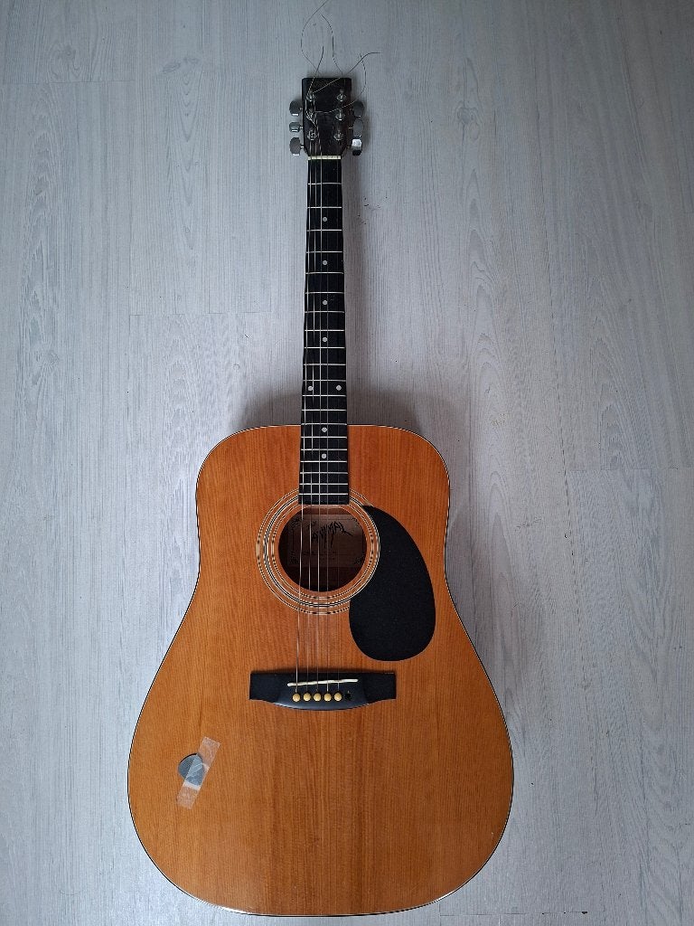 Akoestische gitaar - Western/Steelstring, Muziek en Instrumenten, Ophalen, Gebruikt, Western- of Steelstringgitaar