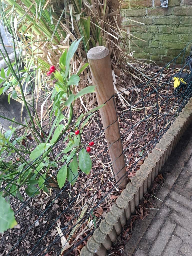 Tuinhek met houten paaltjes en gaas, Ophalen of Verzenden, Gebruikt, Hout, Tuinhek