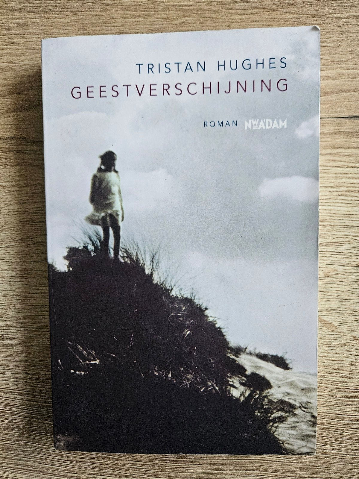 Tristan Hughes - Geestverschijning, Gelezen, Ophalen of Verzenden, T. Hughes