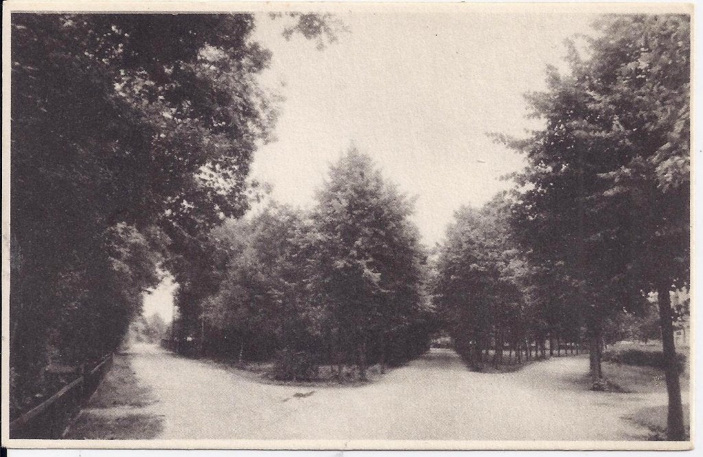 Ermelo Driesprong Oude ongelopen ansichtkaart B1040, Ophalen of Verzenden, Voor 1920, Ongelopen, Gelderland