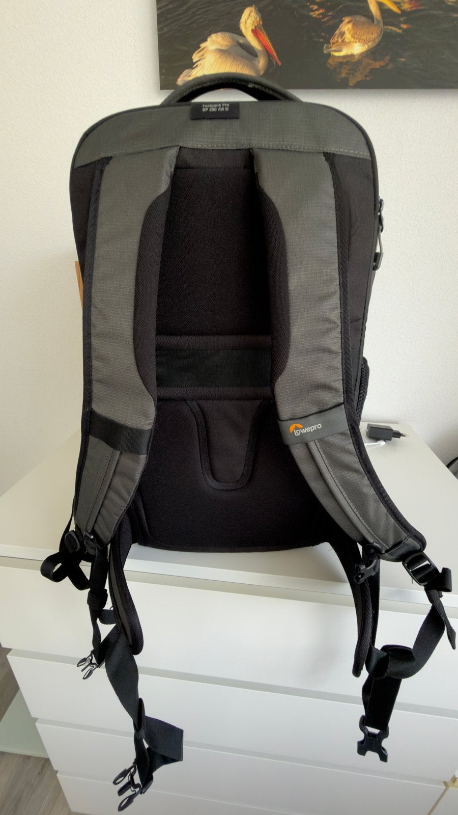 Lowepro Fastpack Pro BP 250 AW III Cameratas Rugtas, Audio, Tv en Foto, Fotografie | Fototassen, Verstelbare indeling, Lowepro