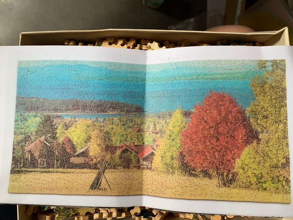 Puzzels van hout, 4 stuks, Ophalen of Verzenden, Minder dan 500 stukjes, Nieuw, Overige typen