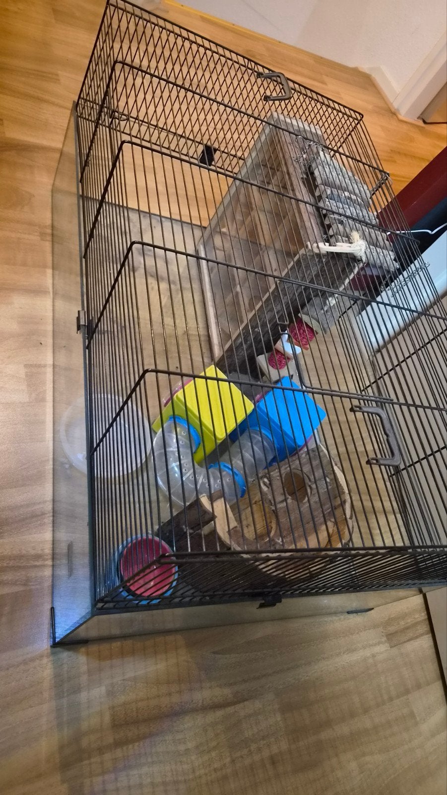 Hamster hok, Ophalen