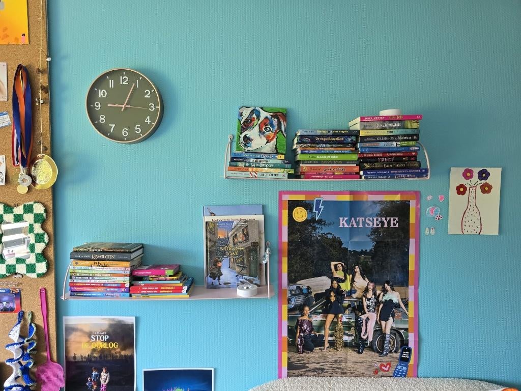Roze metalen wandplank / boekenplank met draadbeugels, Ophalen of Verzenden, Zo goed als nieuw