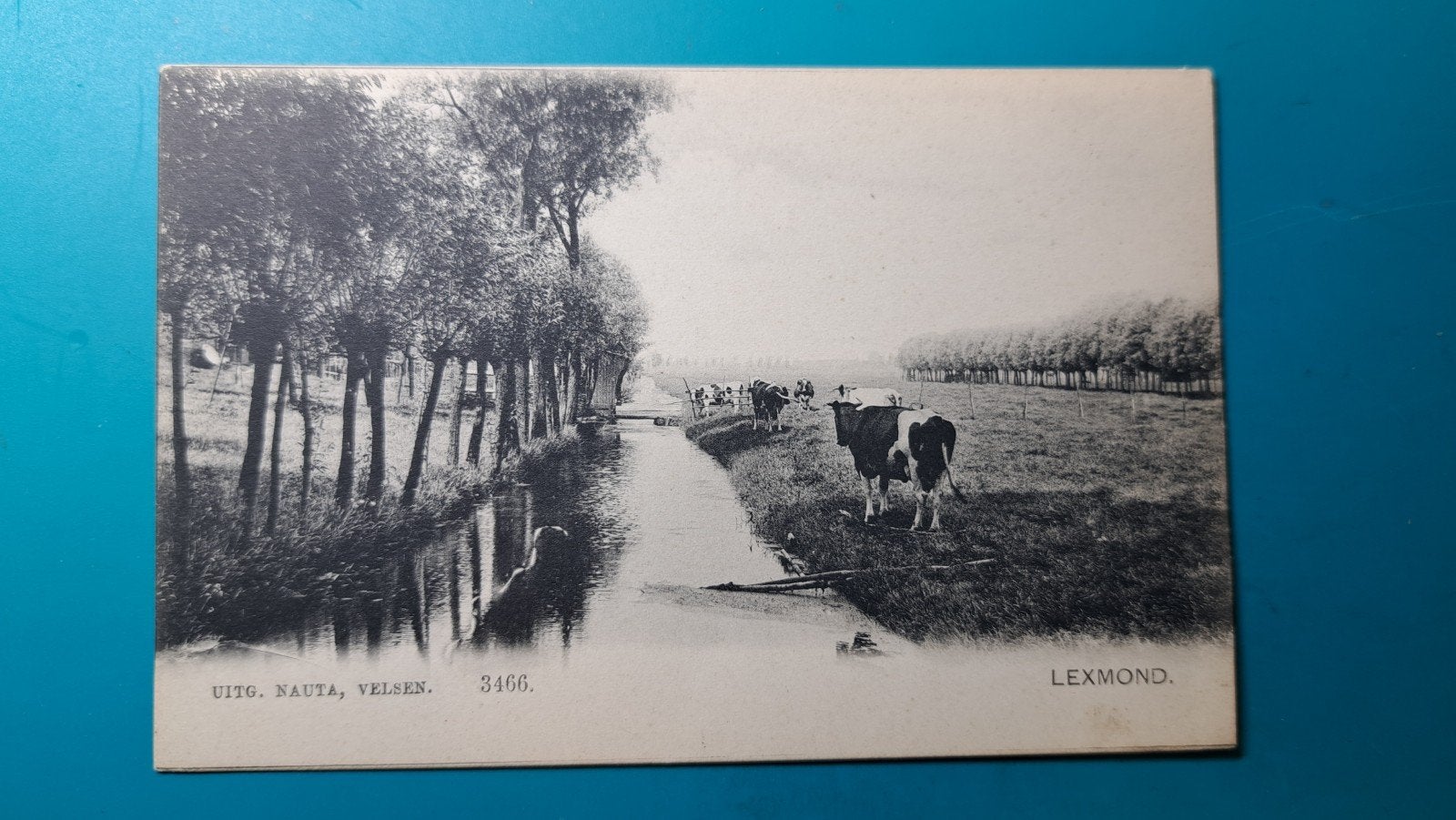 Lexmond koeien sloot, Verzamelen, Verzenden, Voor 1920, Ongelopen, Utrecht