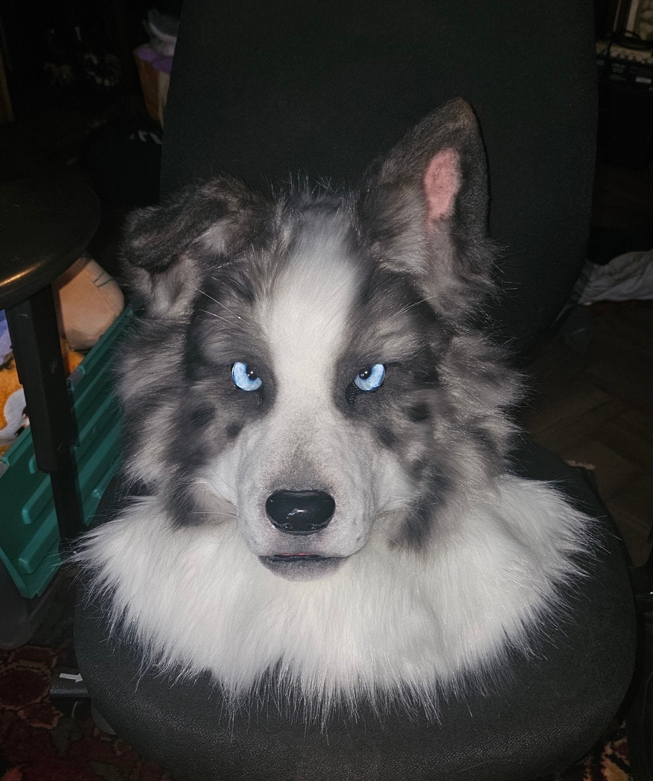 Realistic collie fursuit, Ophalen of Verzenden, Nieuw, Handschoenen, Hoed of Pet