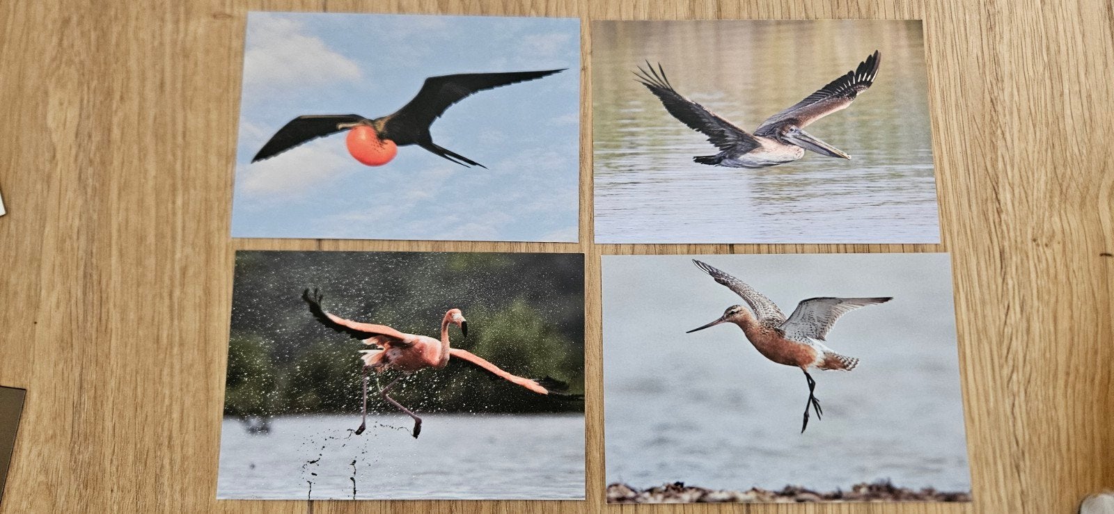 Nederland postset vogels 2016, Verzenden, 1980 tot heden, Vogel