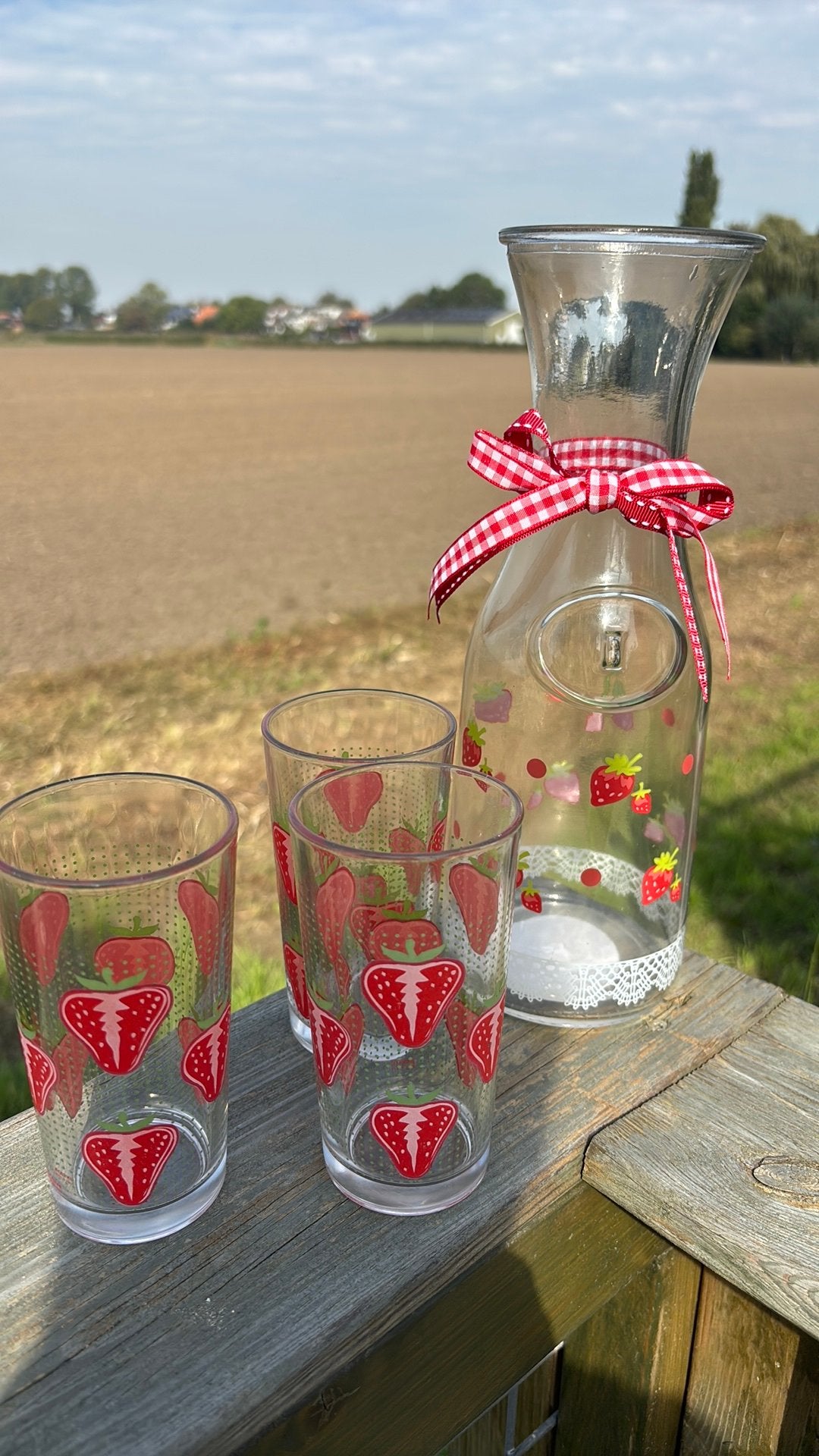 Water/karaf set, Ophalen of Verzenden, Zo goed als nieuw, Overige typen