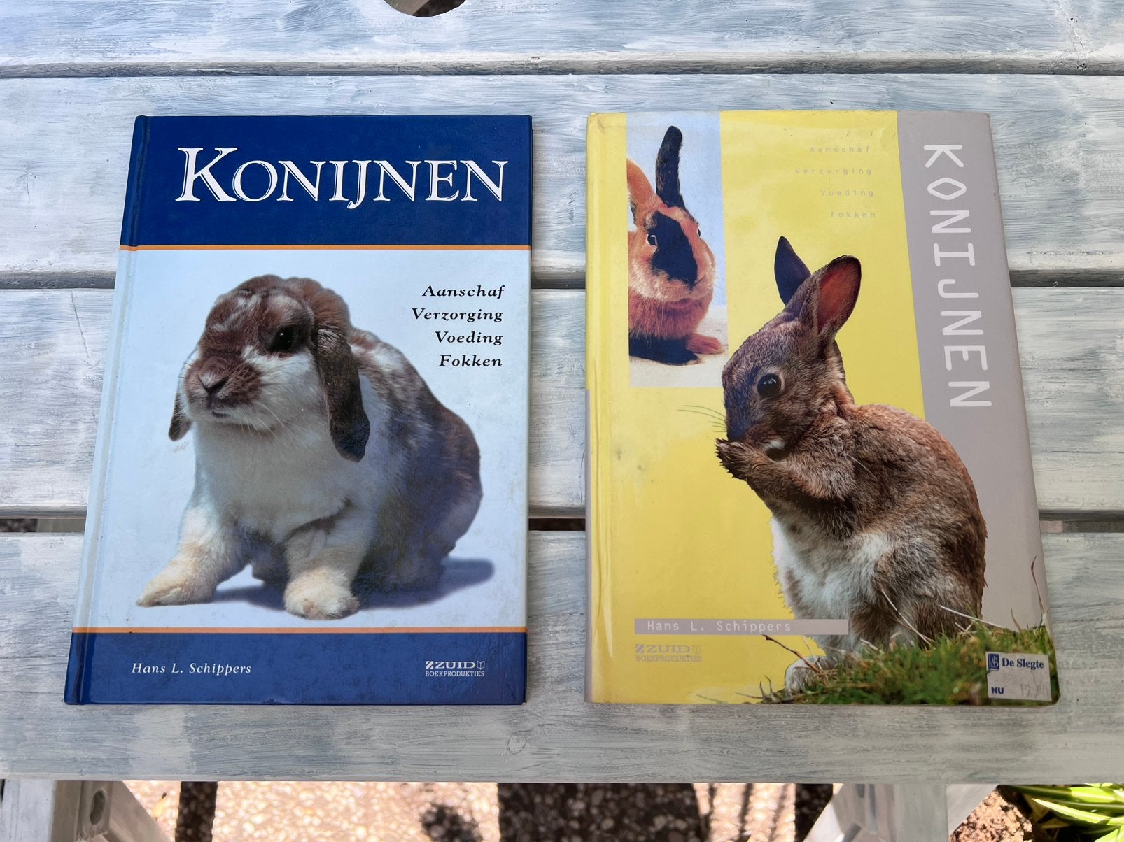 Handleiding konijnen 2 stuks, Dieren en Toebehoren, Konijnen, Meerdere dieren, Groot