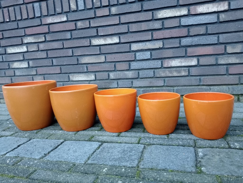 bloempotten, Ophalen, Gebruikt, Rond, Binnen