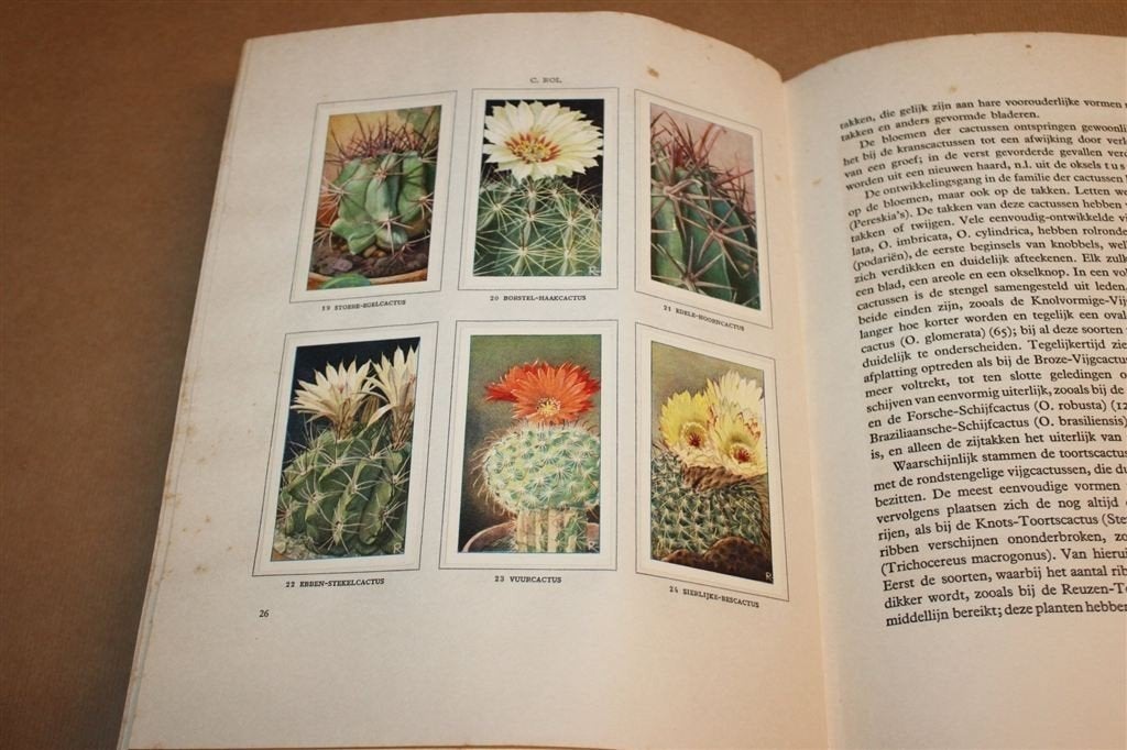 Cactussen — Verkade Album 1931, Compleet met Plaatjes, Ophalen of Verzenden, Gelezen