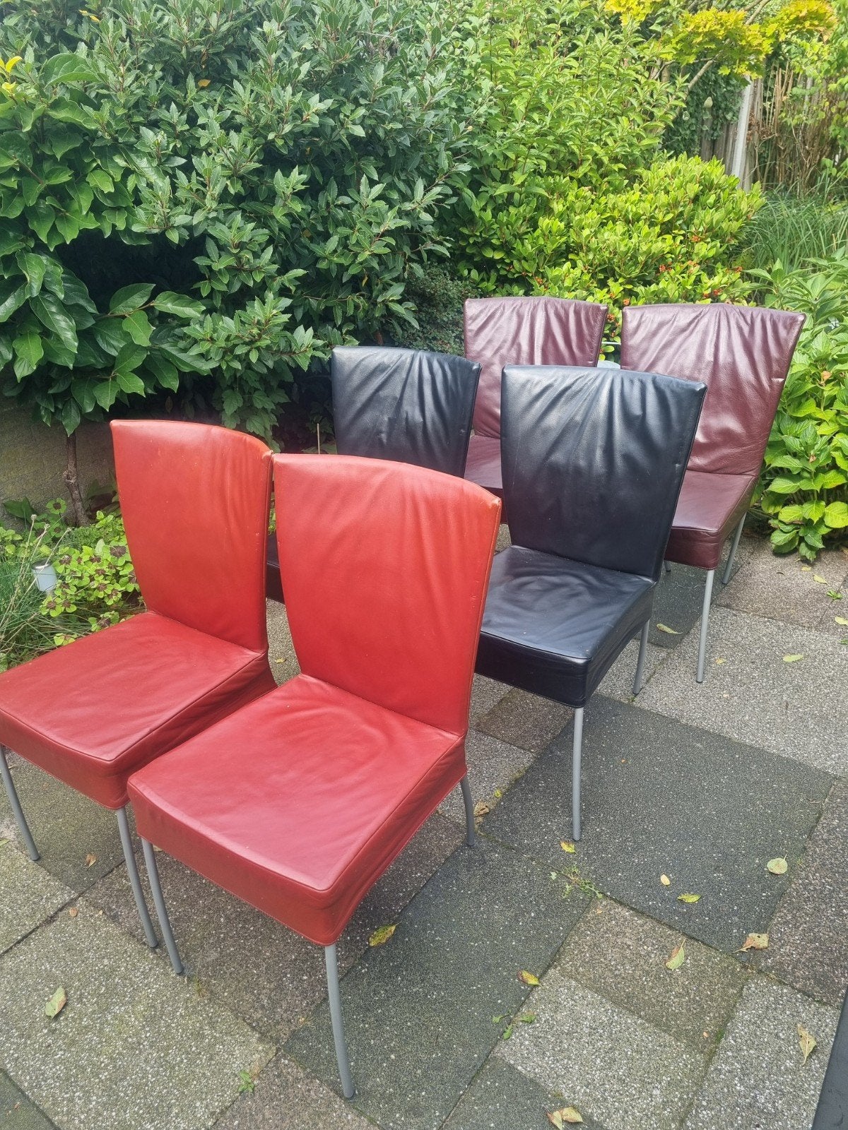 6 Montis Spica Stoelen Leder – RVS Frame, Gebruikt, Overige kleuren, Designstoelen modern, Ophalen of Verzenden