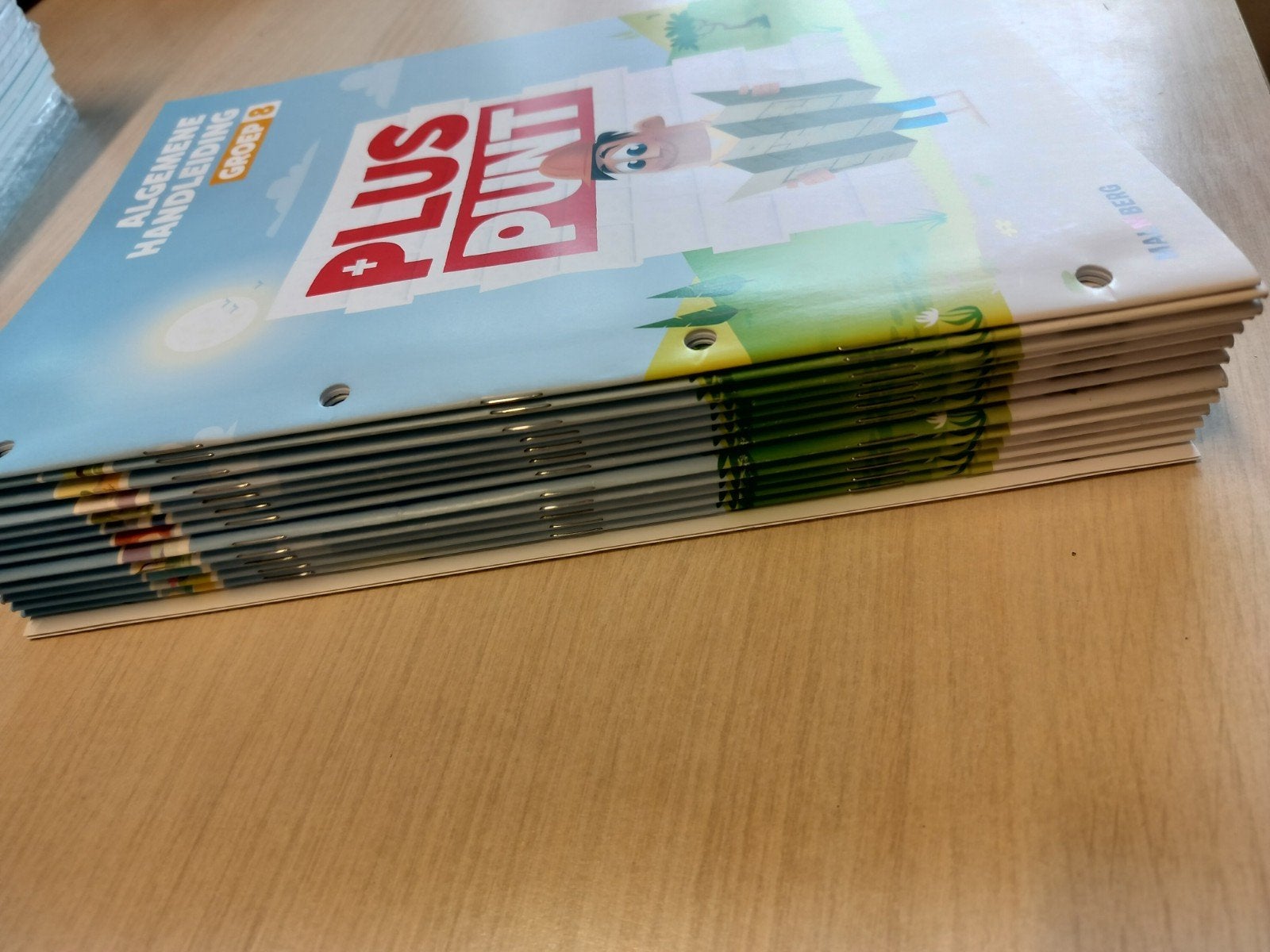 Pluspunt Rekenmethode Handleidingen Groep 8 Complete Set, Ophalen of Verzenden, Zo goed als nieuw, Overige niveaus, Overige vakken