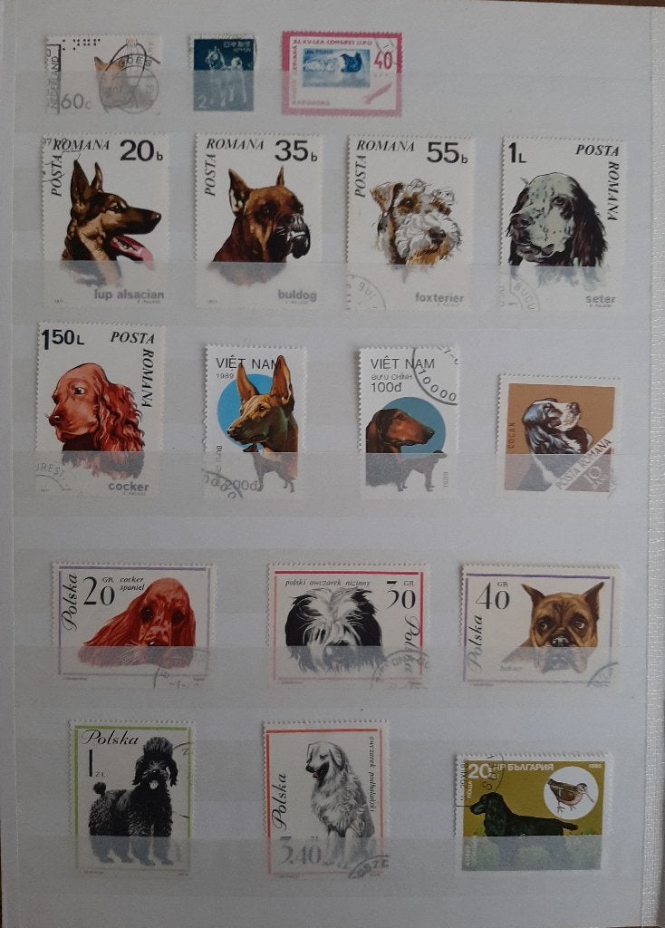 2 Kaarten Postzegels Mooiste Honden No. 1 Gestempeld, Ophalen, Gestempeld, Dier of Natuur