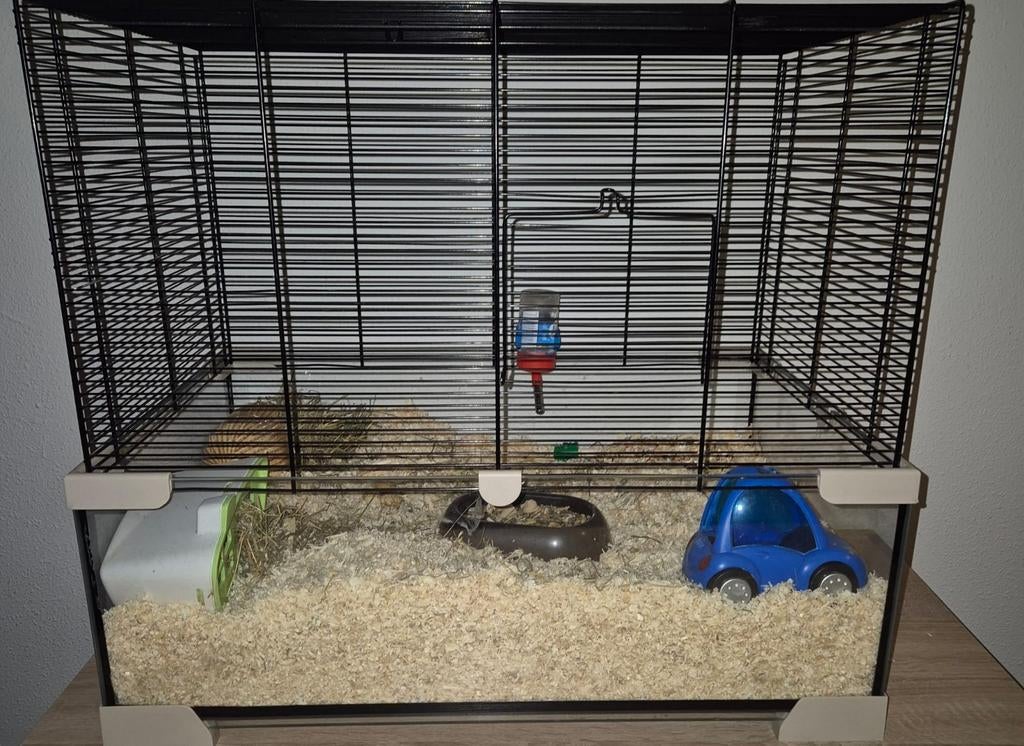 Hamster kooi met hamster, Kooi, Minder dan 75 cm, Zo goed als nieuw, Hamster