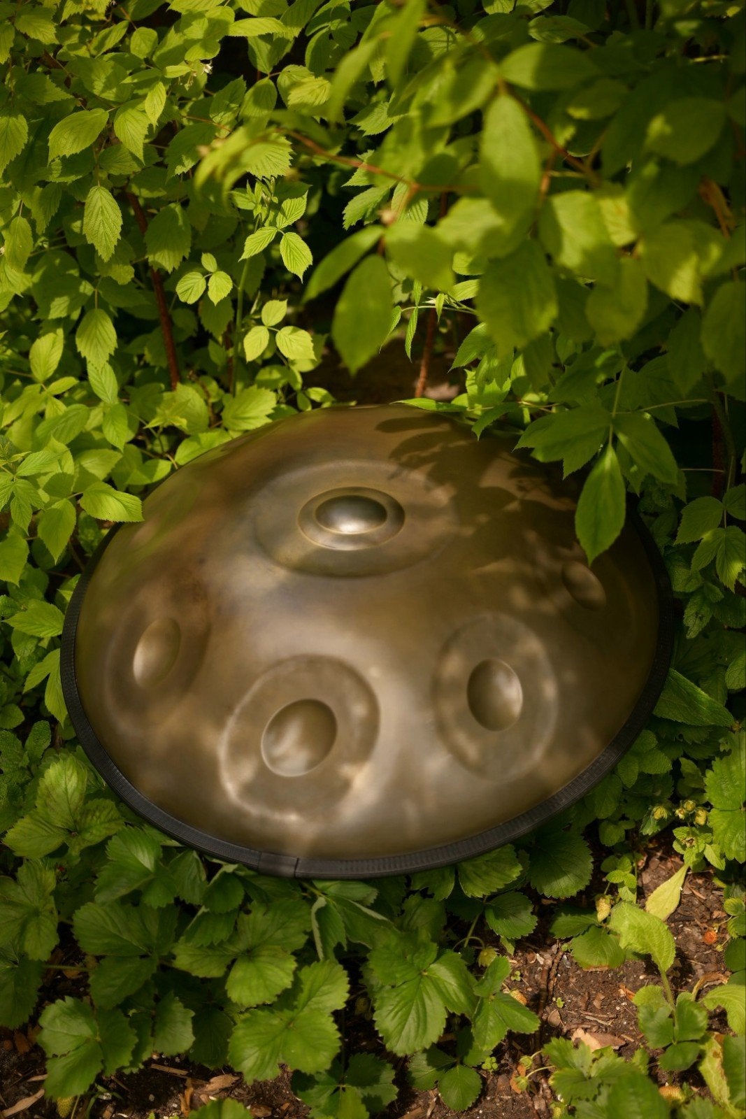 Handpan D Mineur + Hardcase Technologies tas, Ophalen, Zo goed als nieuw
