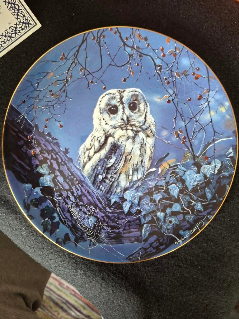 Night messenger by Pollyanna Pickering ZELDZAME VONDST, Ophalen