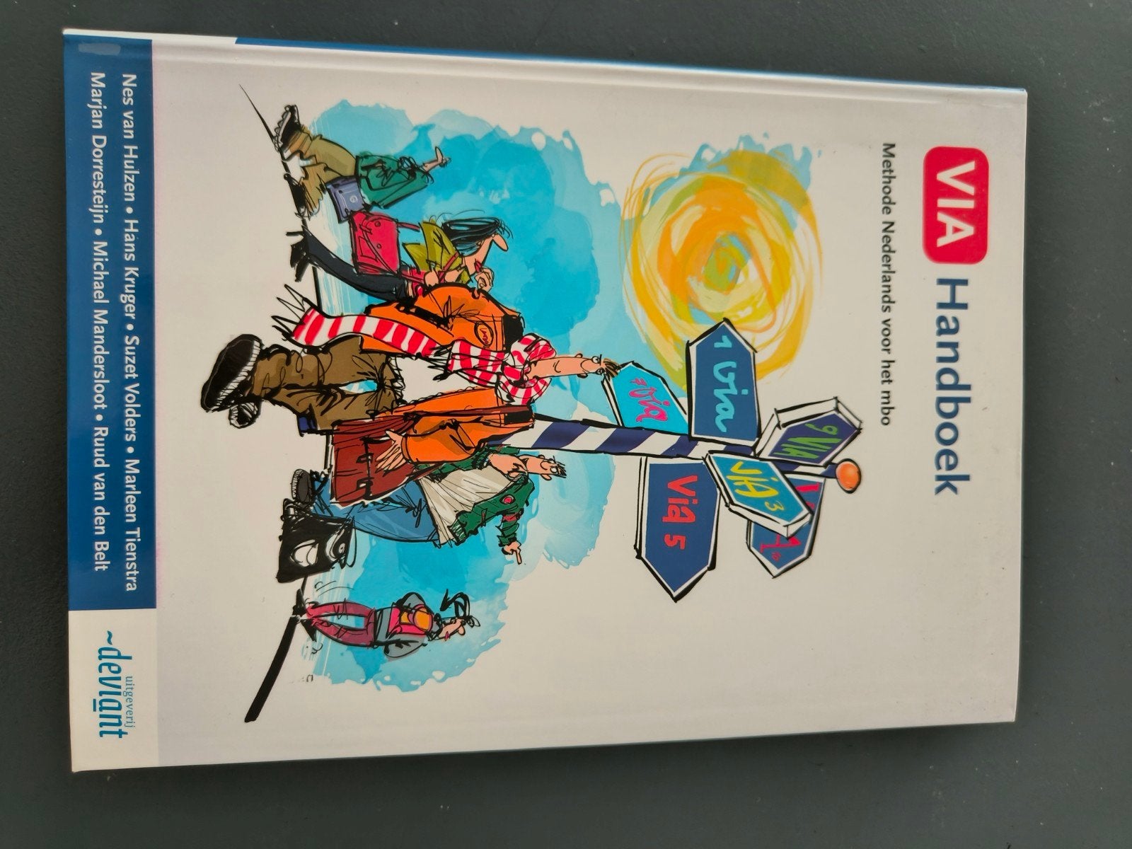 Via Handboek, Boeken, Schoolboeken, Ophalen of Verzenden, Zo goed als nieuw, Diverse Auteurs, Nederlands
