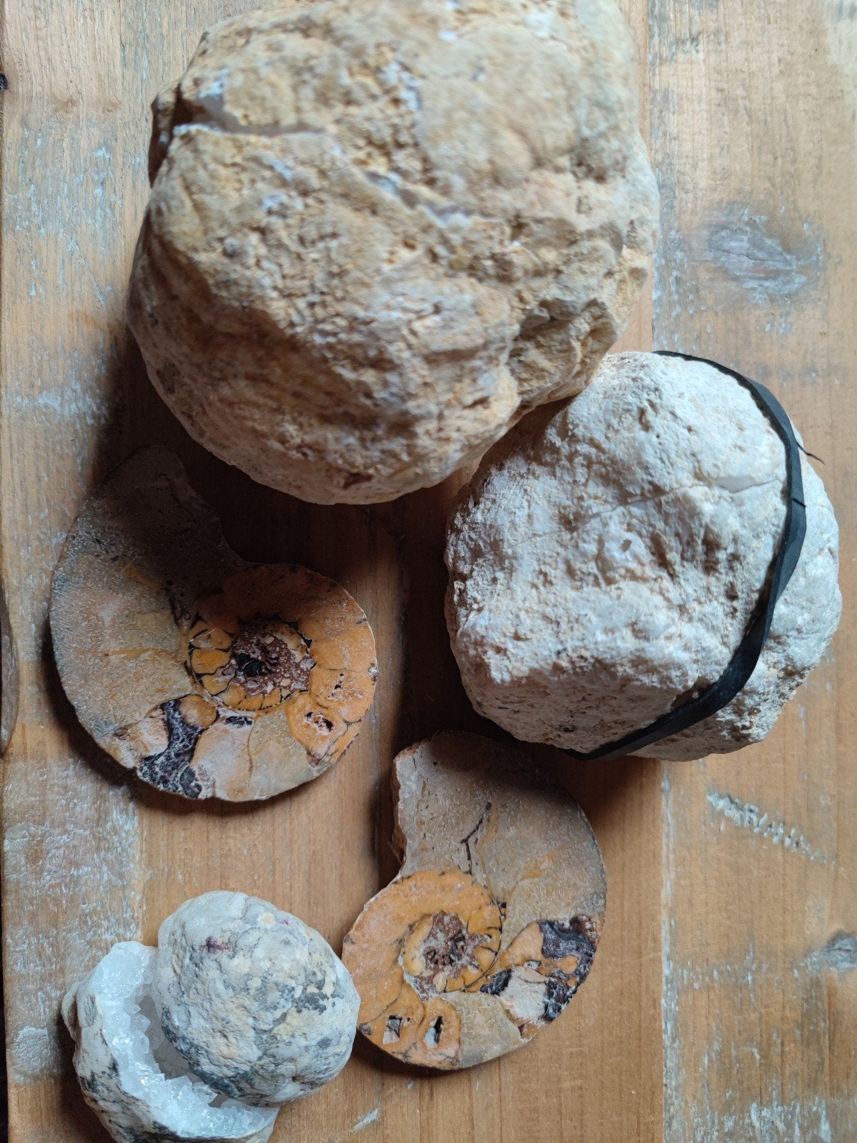 Prachtige Geodes en Ammonieten Set, Ophalen of Verzenden, Mineraal