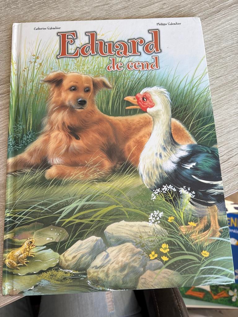 Eduard de Eend - Prentenboek voor Kinderen, Ophalen of Verzenden, Gelezen, 2 tot 3 jaar