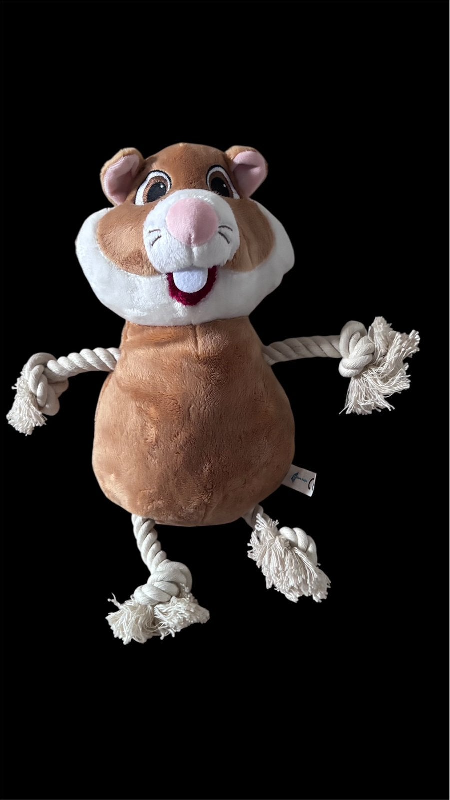 AH dierendag hamster, Albert Heijn, Hamster, Nieuw, Ophalen of Verzenden