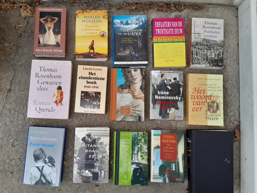 OPRUIMING lot van 15 stuks dikke boeken in nette staat, Ophalen, Gelezen, Nederland