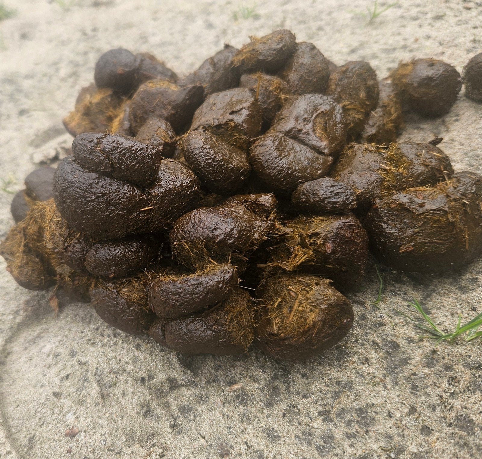 Mest voor (moes)tuin, Ophalen, Overige typen