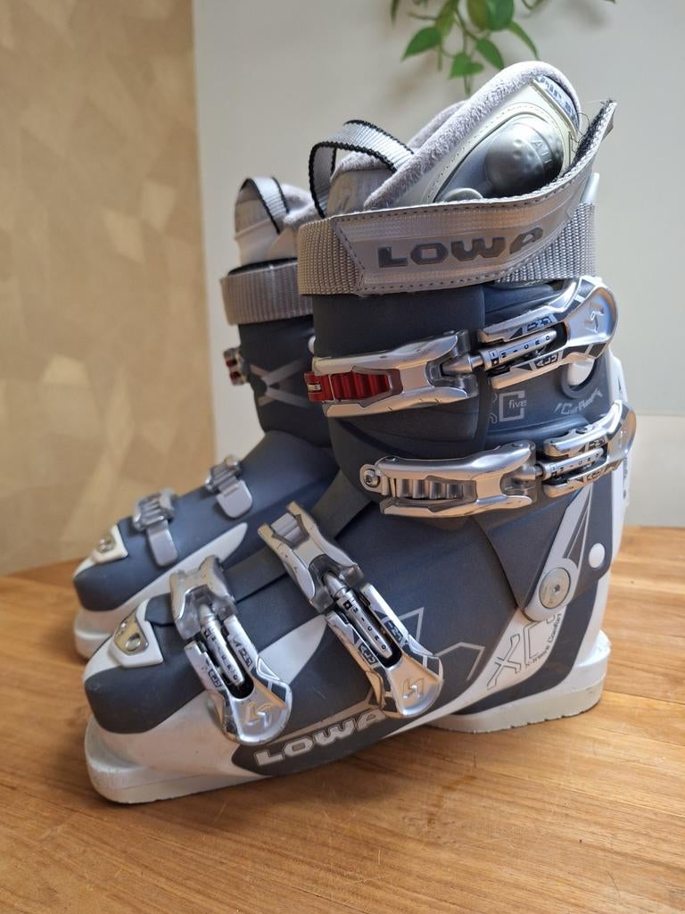 Lowa skischoenen ski schoenen Maat 38.5 39.5, Sport en Fitness, Overige merken, 160 tot 180 cm, Gebruikt, Schoenen