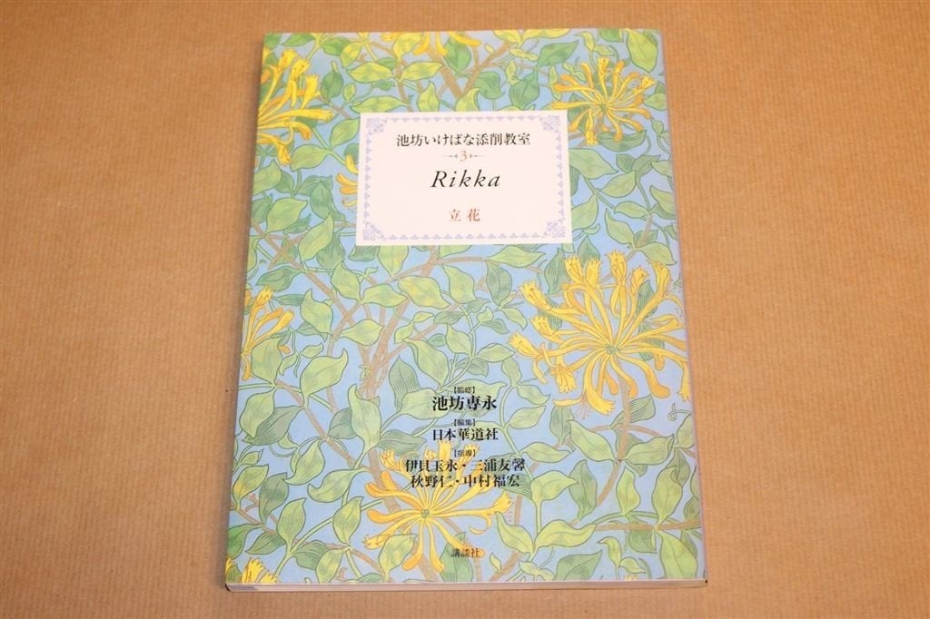 Ikenobo Ikebana — Rikka Stijl Deel 3, in het Japans, Ophalen of Verzenden, Zo goed als nieuw, Tekenen en Schilderen