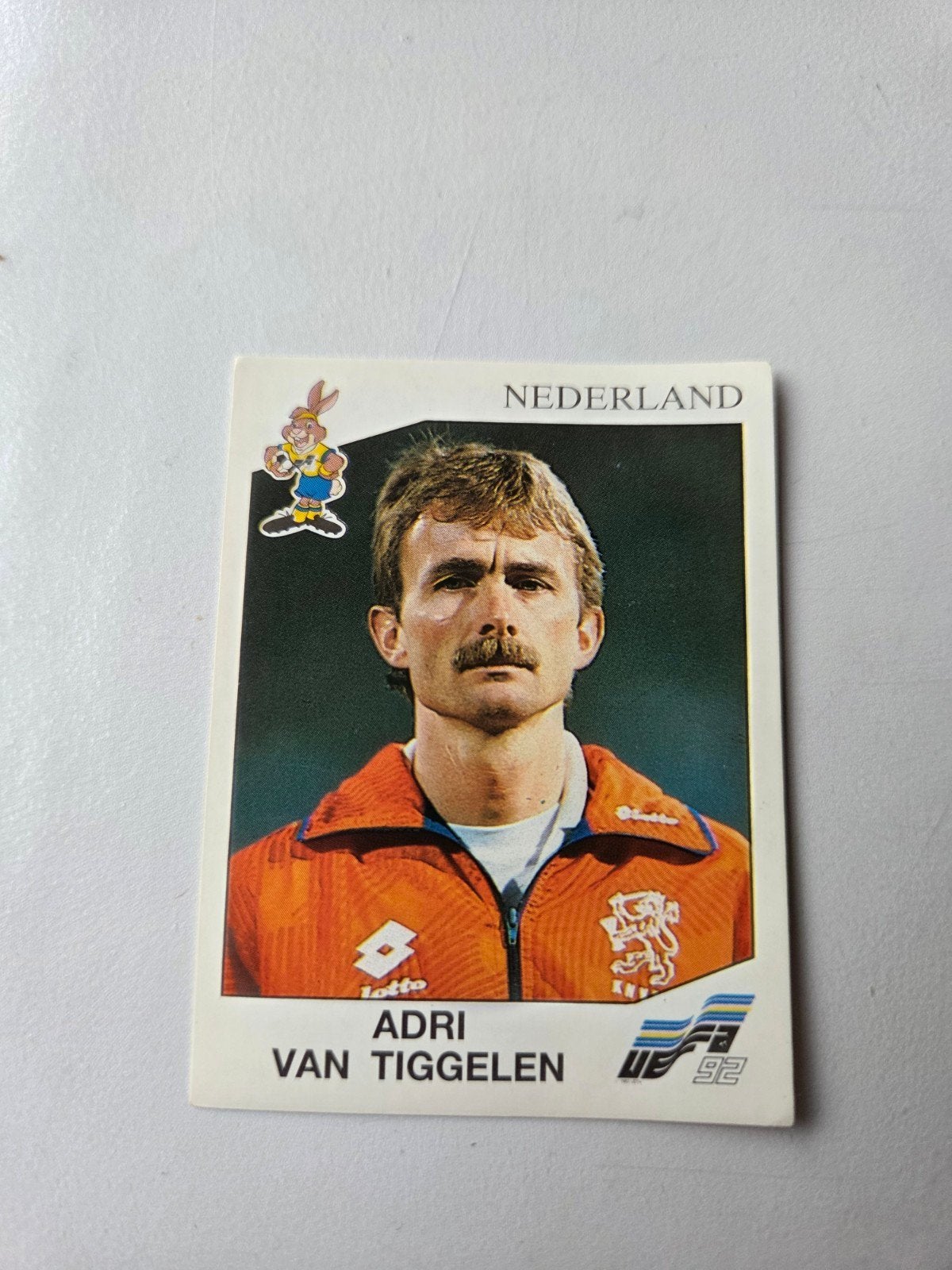 Panini EK 92, Ophalen of Verzenden, Zo goed als nieuw, Buitenlandse clubs, Poster, Plaatje of Sticker