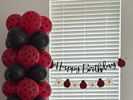 Lieveheersbeestje Verjaardagsdecoratie slinger taarttopper, Ophalen of Verzenden, Zo goed als nieuw, Feestartikel, Verjaardag