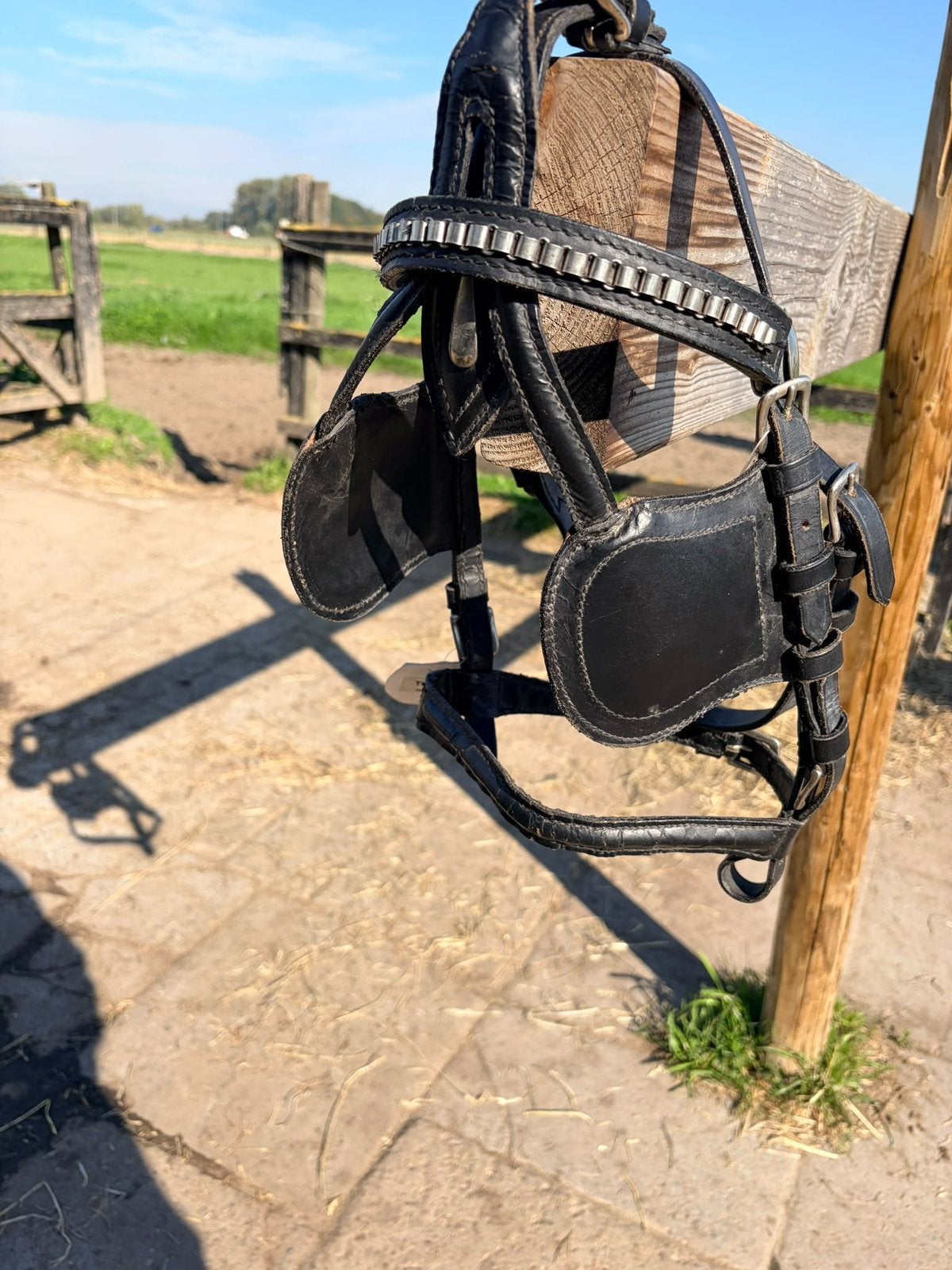 Menhoofdstel shet, Dieren en Toebehoren, Ophalen, Nieuw, Shetlander