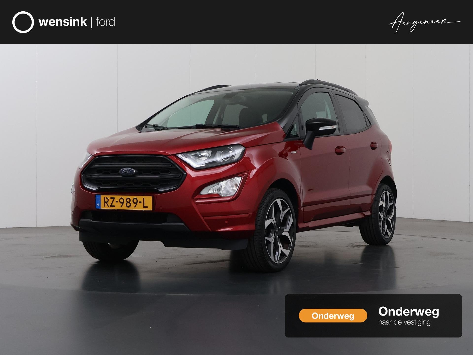 Ford EcoSport 1.0 EcoBoost ST-Line | Trekhaak | Navigatie |
