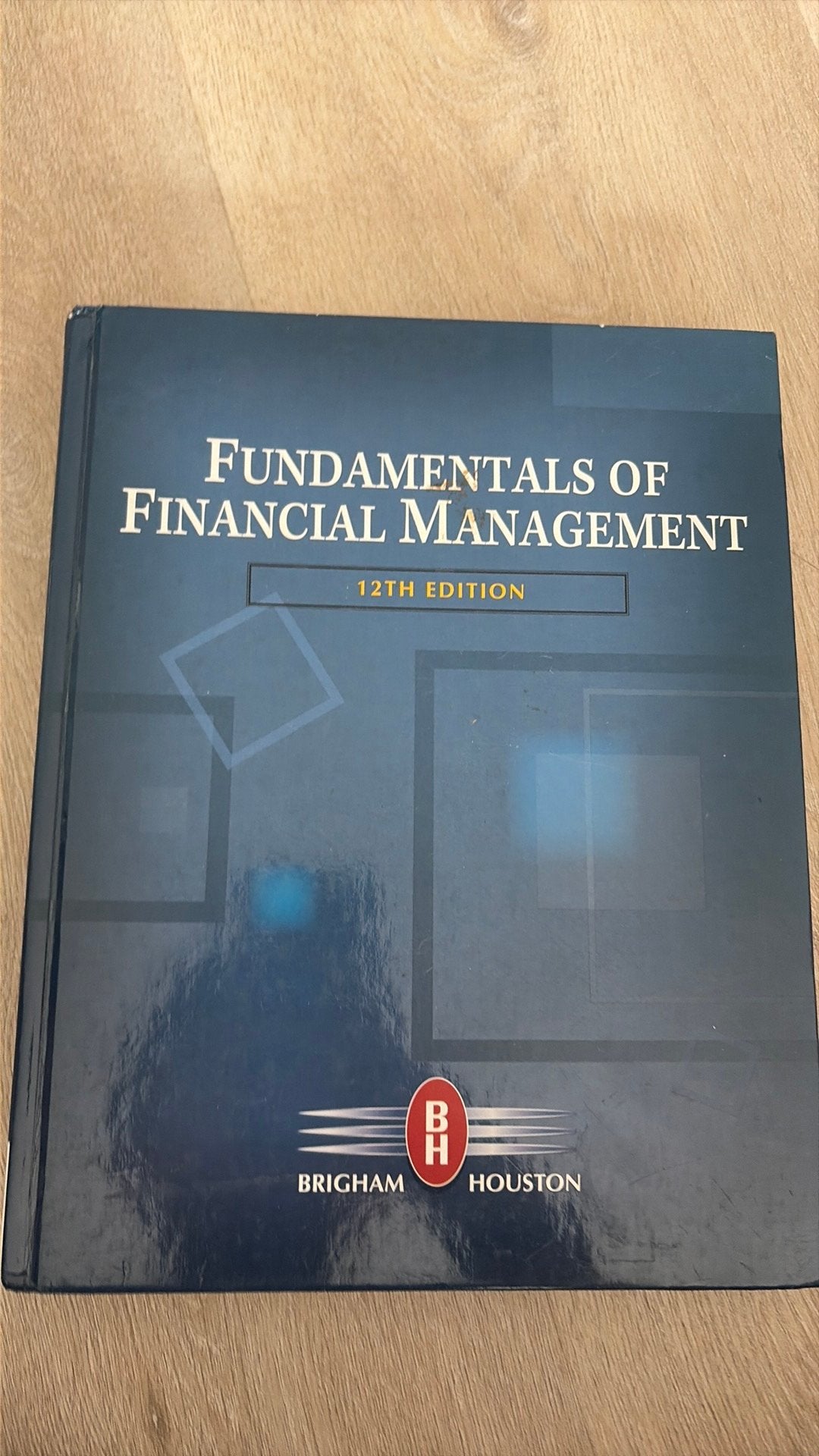 Fundamentals of Financial Management – Brigham & Houston, Boeken, Ophalen of Verzenden, Beta, Gelezen, HBO