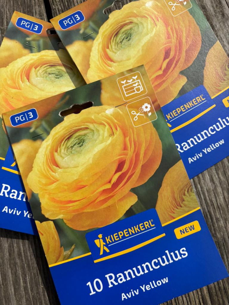 Ranonkel bollen, Ophalen of Verzenden, Volle zon