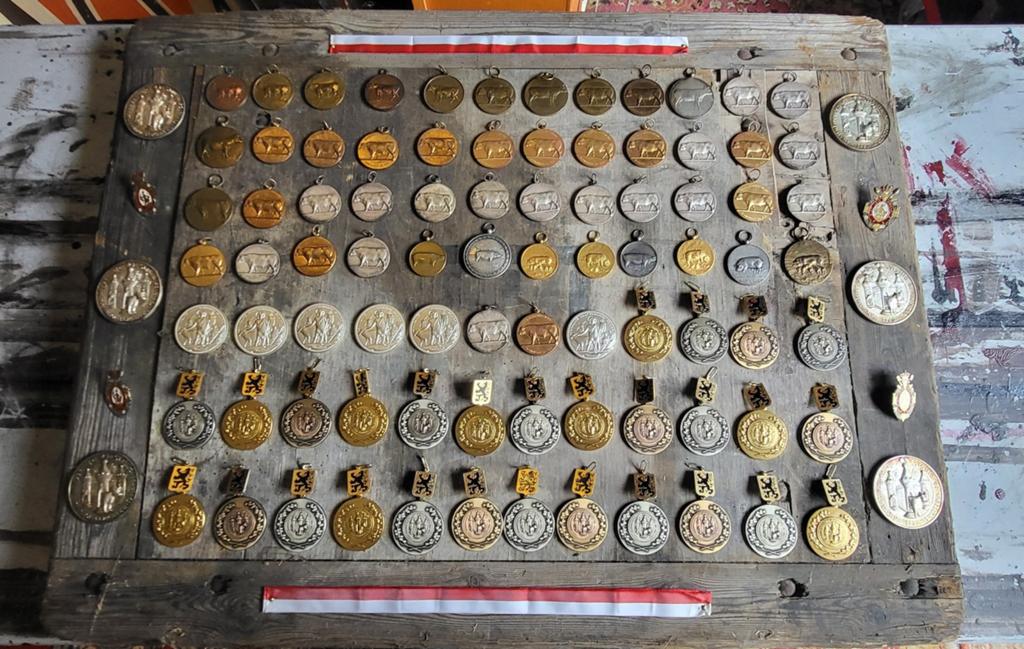 Grote verzameling oude plaquettes/medailles, Ophalen, Overige materialen, Buitenland