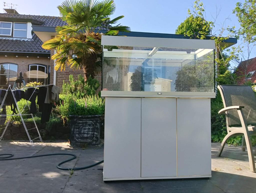 aquarium te koop, Vis