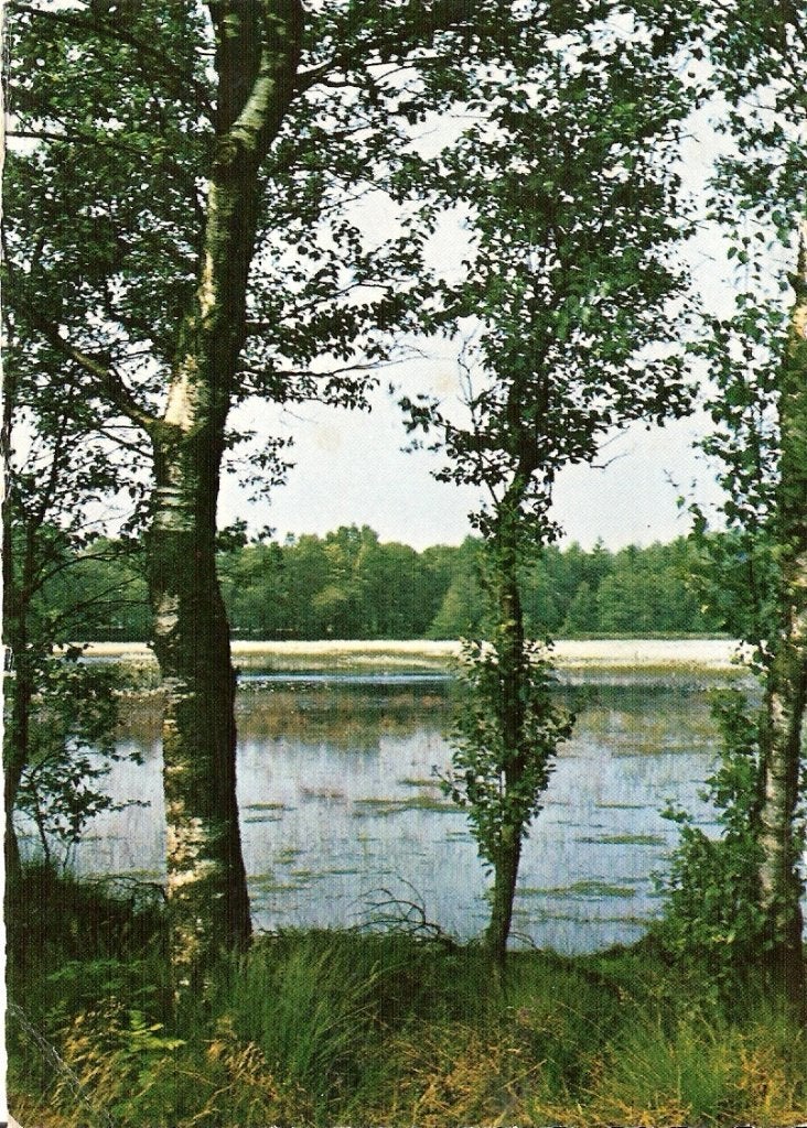 Dwingeloo            459a, Ophalen of Verzenden, Voor 1920
