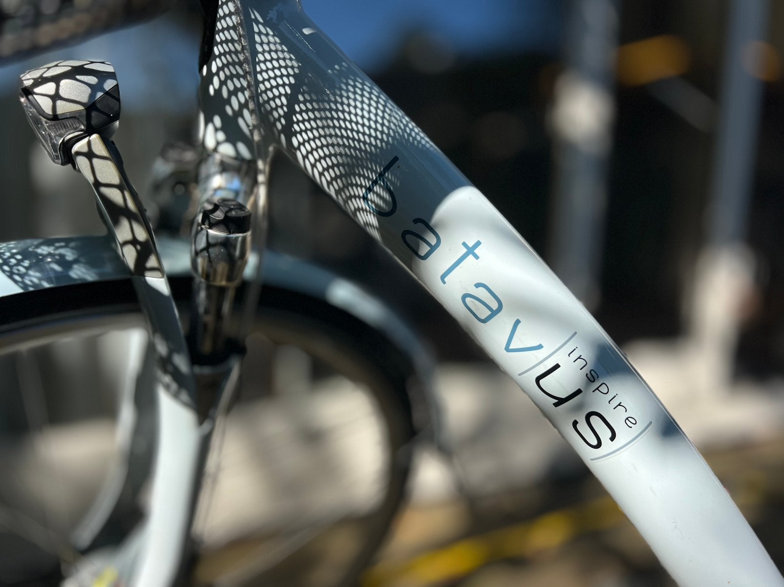 Solide Batavus damesfiets met naafdynamo en 7 versnellingen, 47 tot 50 cm, Versnellingen, Zo goed als nieuw, Trommelrem