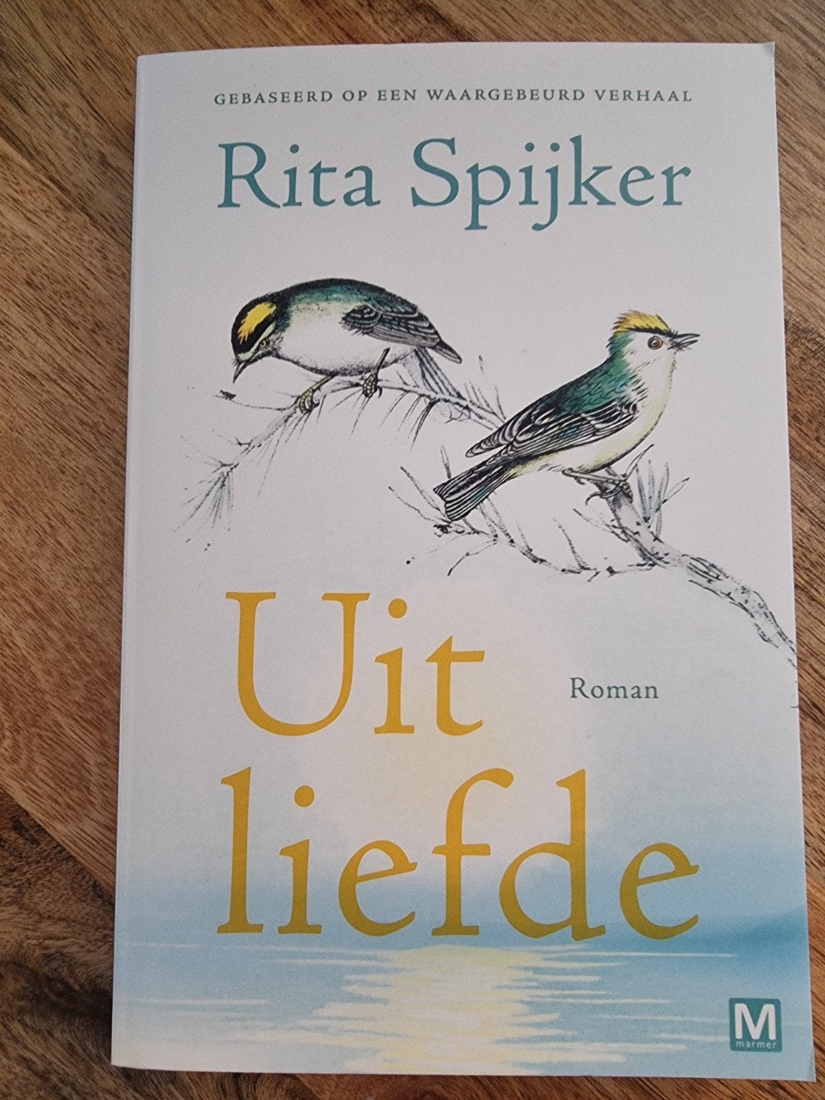 Diverse boeken verkoop, Ophalen of Verzenden, Zo goed als nieuw, Rita Spijker