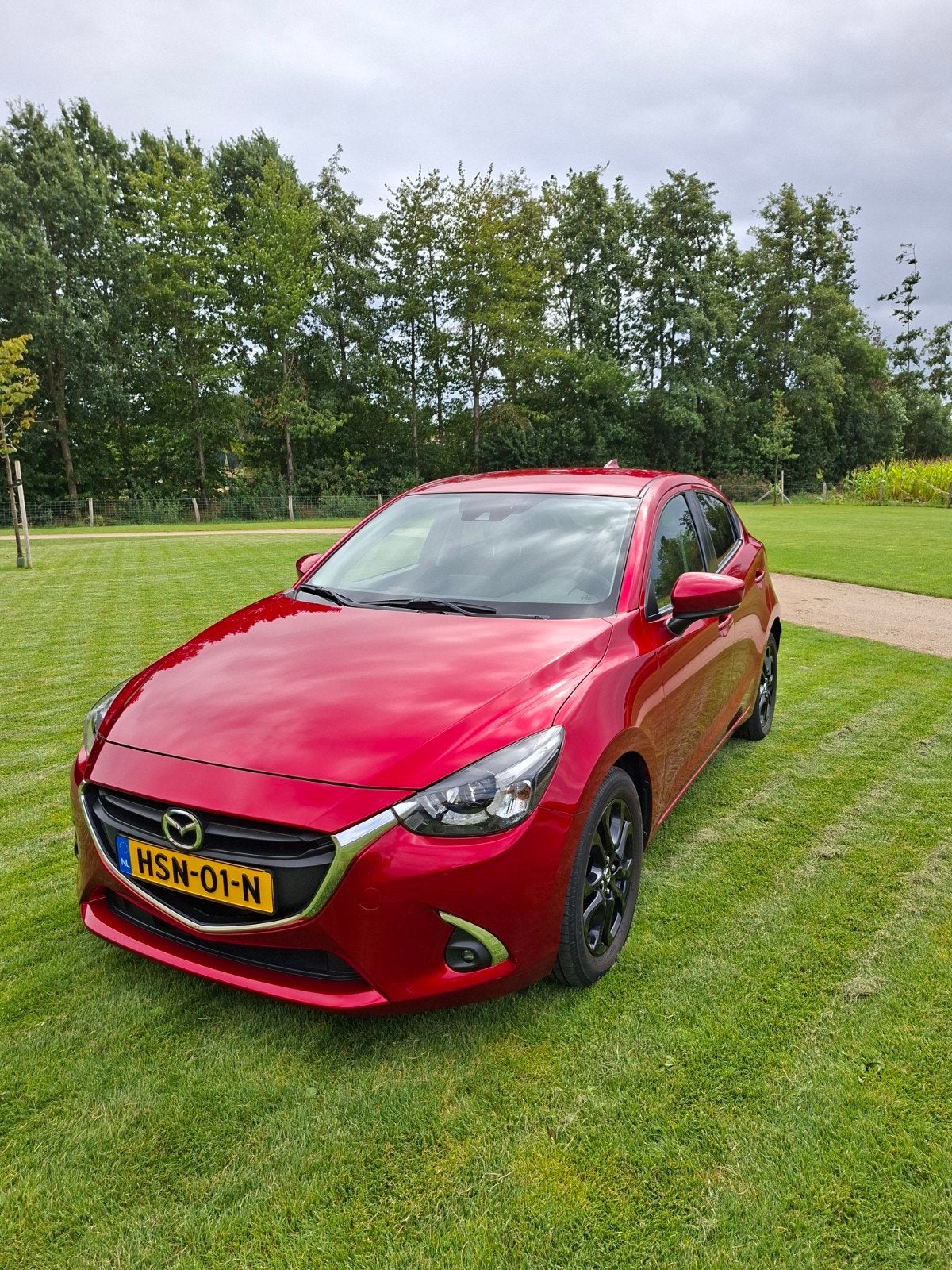 Mazda 2 1.5 Skyactiv-g 90PK 2019 Rood, Auto's, Voorwielaandrijving, Dealer onderhouden, Stof, Zwart