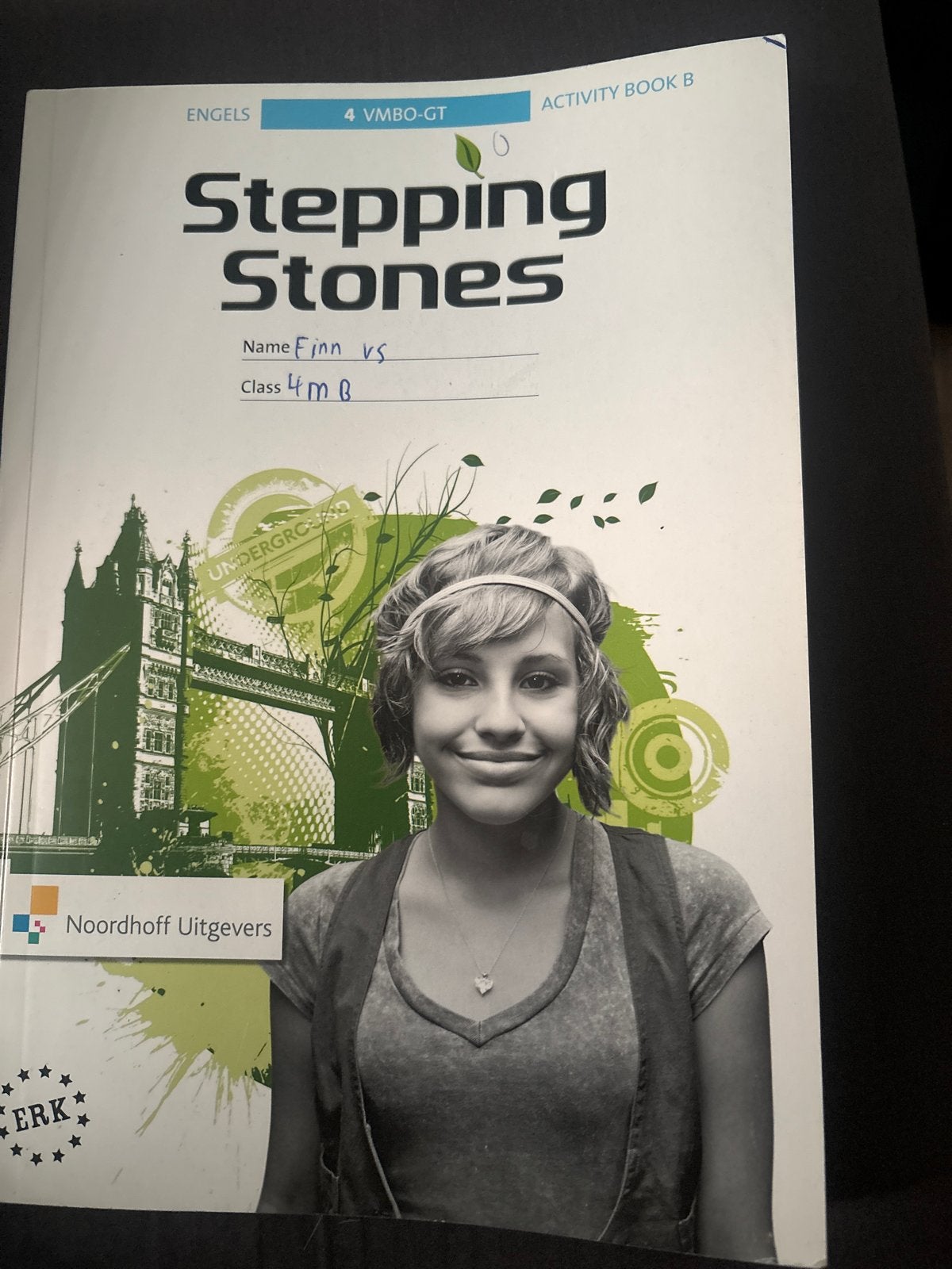 Stepping Stones Engels 4 VMBO-GT Activity Book B, Boeken, Ophalen of Verzenden, Gelezen, VMBO, Engels