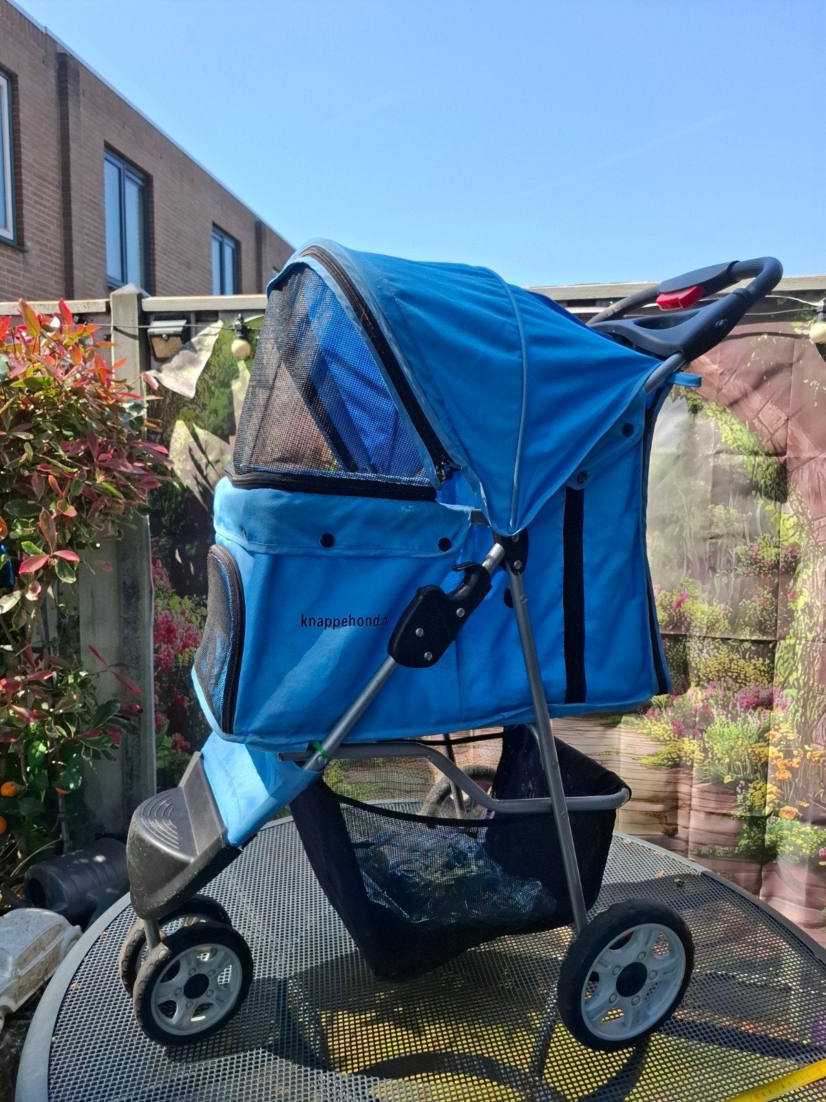 Hondenwandelwagen, Ophalen, Nieuw