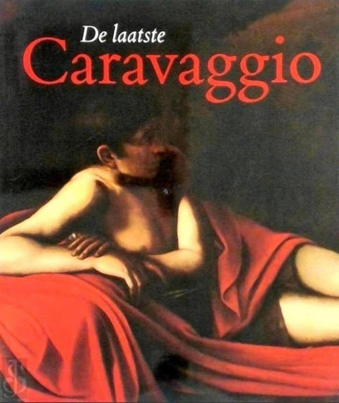 DE LAATSTE CARAVAGGIO. Waanders Nederlands, Boeken, Ophalen of Verzenden, Zo goed als nieuw