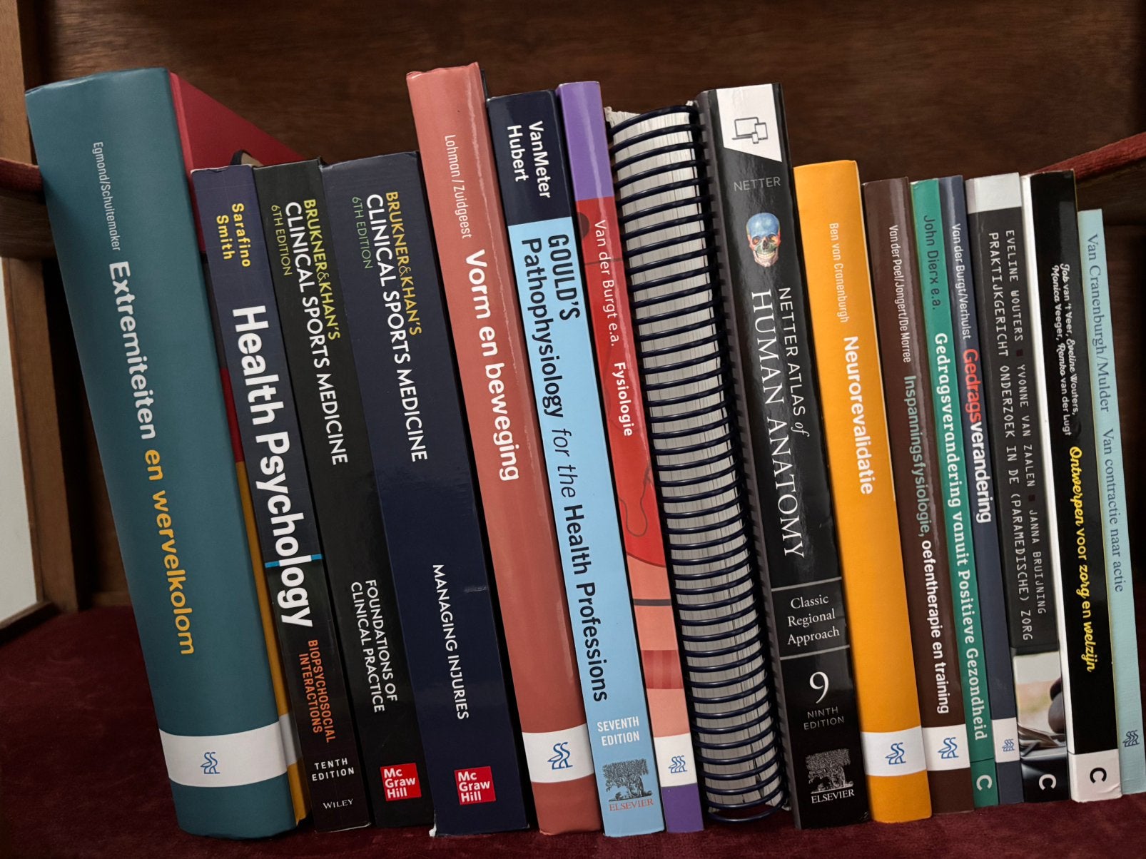 Studieboeken HBO Fysiotherapie leerjaar 1 Saxion, Ophalen of Verzenden, Beta, Gelezen, HBO